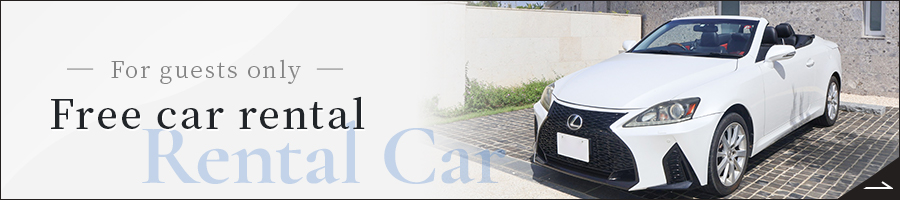 Banner for free rental car page