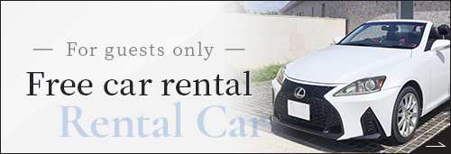 Banner for free rental car page